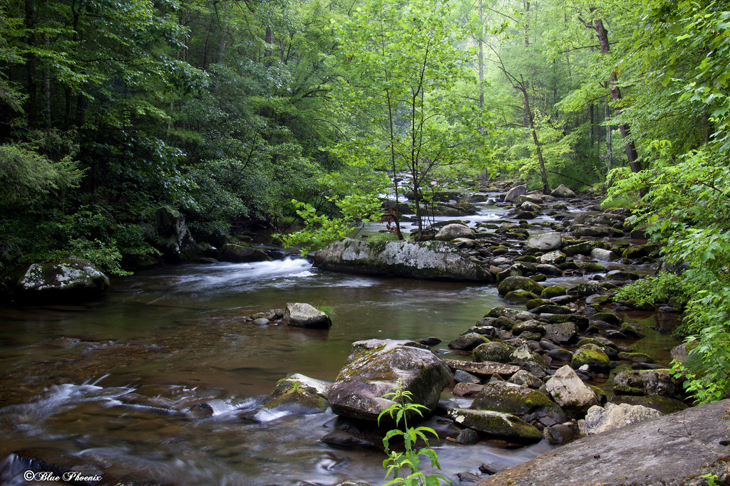 Citico Creek IMG_08494 Citico Creek in the Cherokee Nation… Flickr