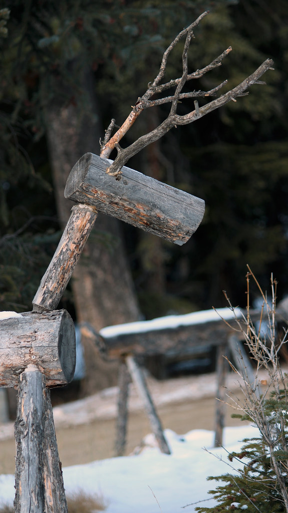 banff Wood Deer the wooden deer in the foreground and the … Flickr