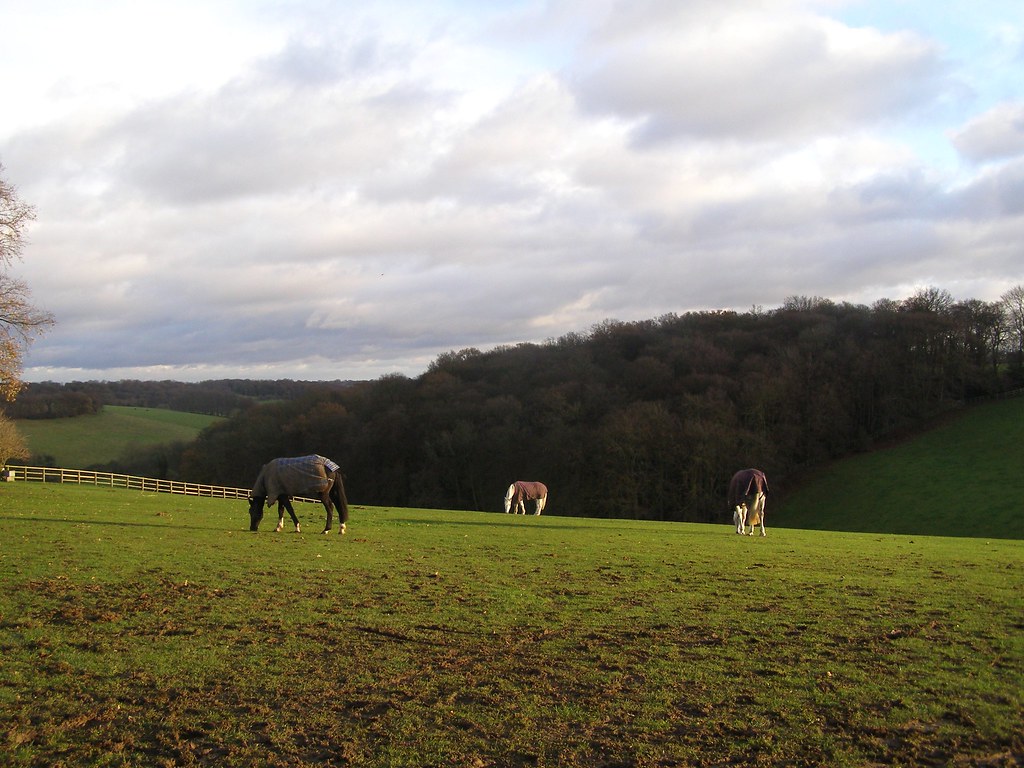 The Horse Trust, Speen, Bucks The lovely countryside that … Flickr