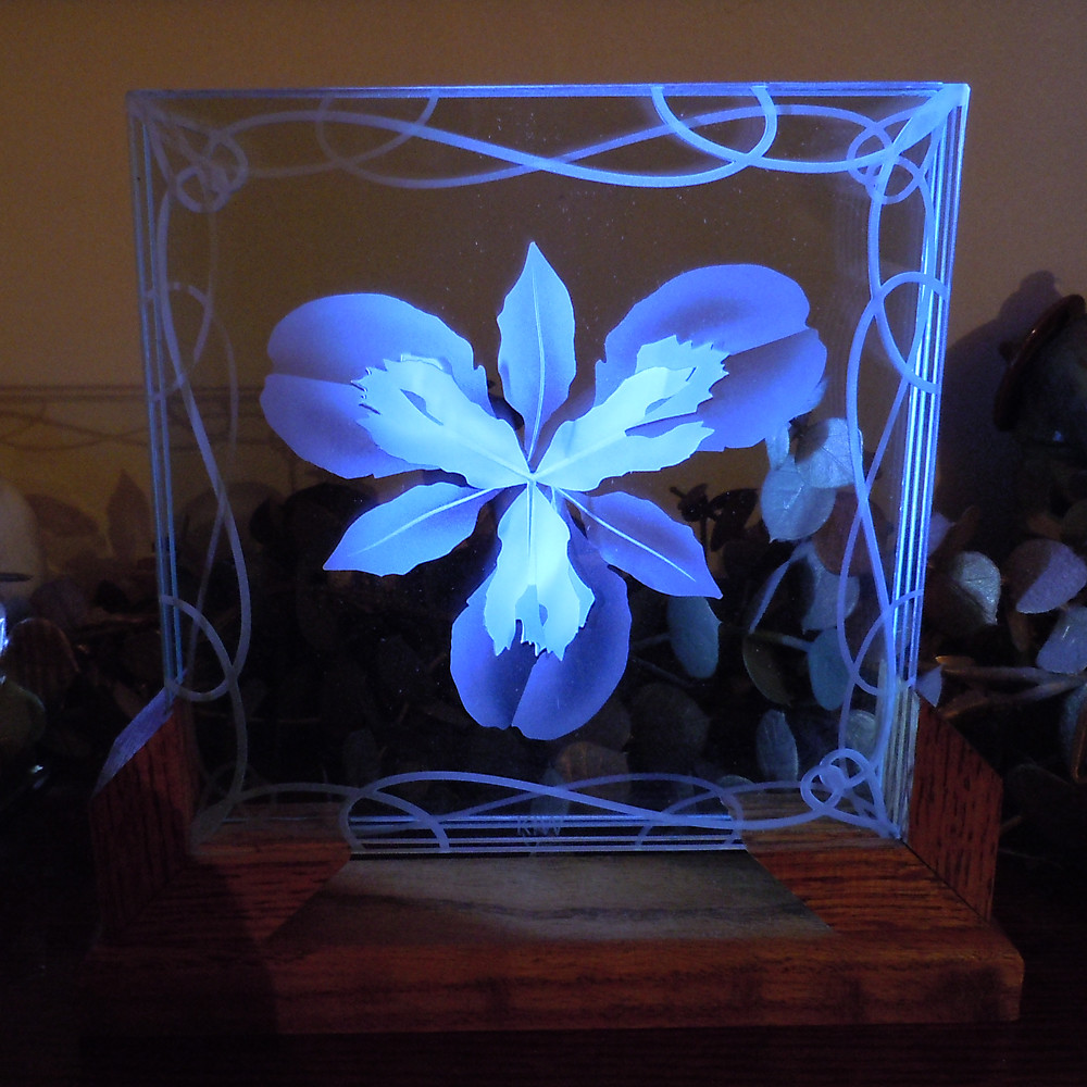 edgelit iris etched glass A spot from my LED light base hi… Flickr