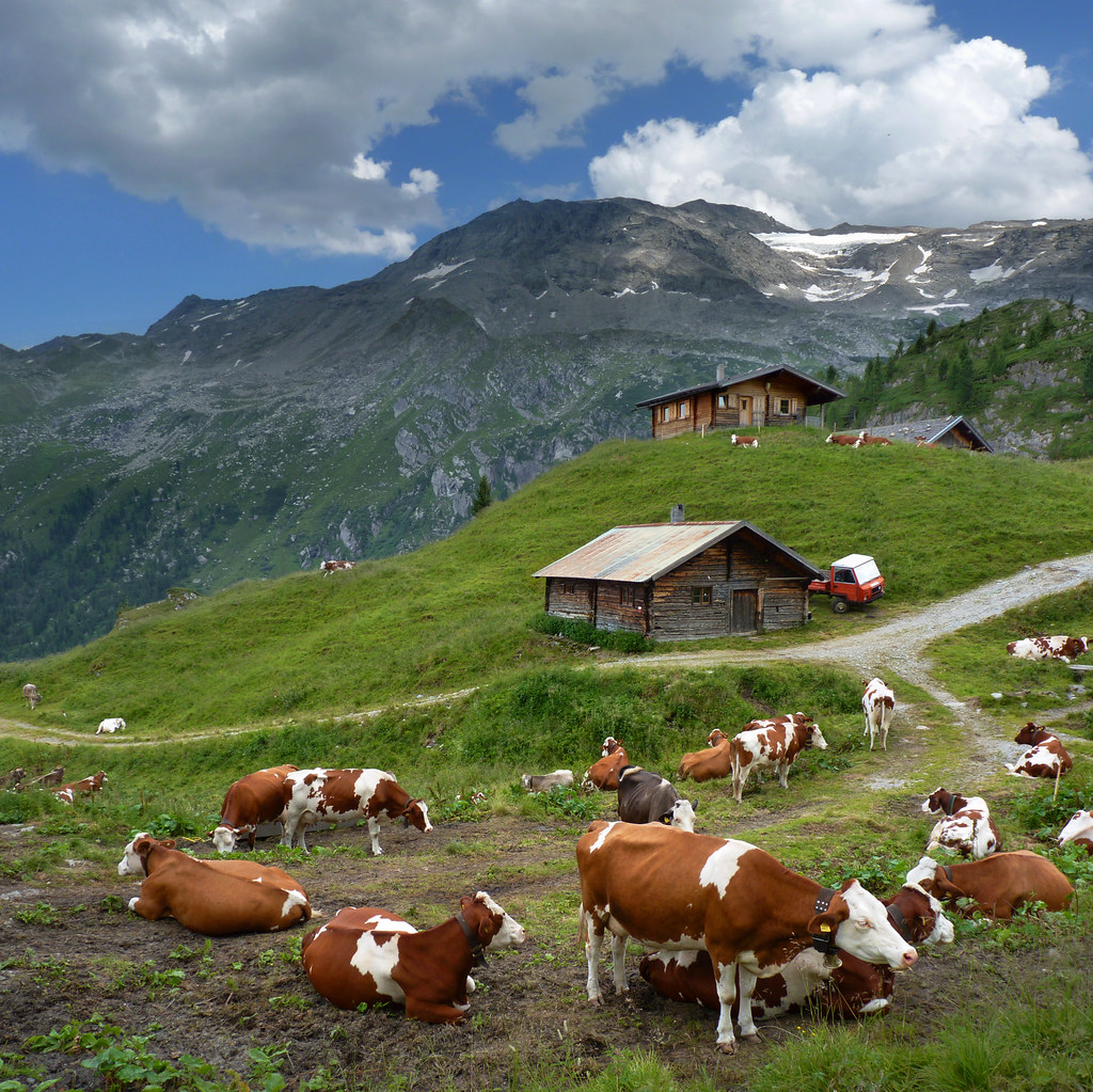 Austrian mountain farm at the foot of the Hintertux Glacie… Flickr