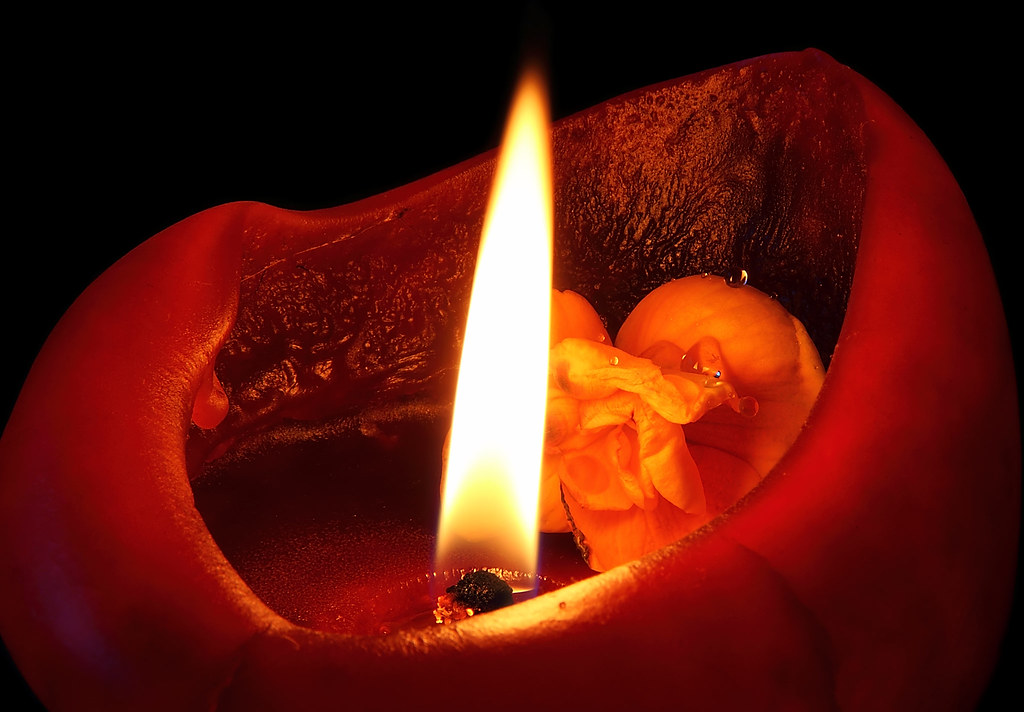 Flower In Candle Flower head inside a candle as it burns. Steve