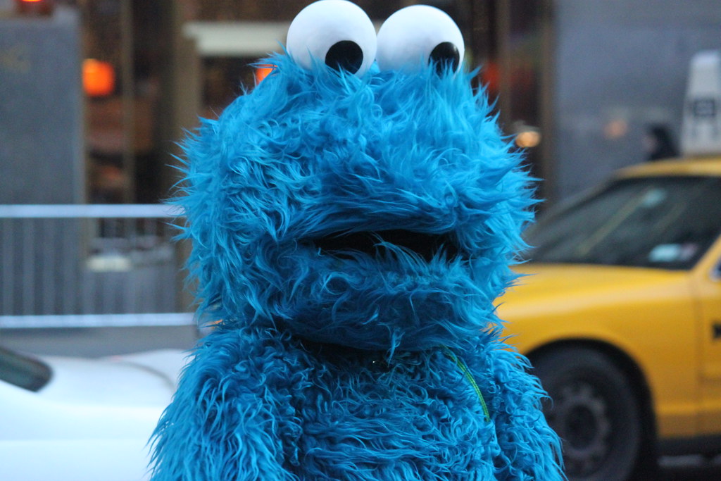 Cookie looks sad, depressed, lonely....or was he just star… Flickr