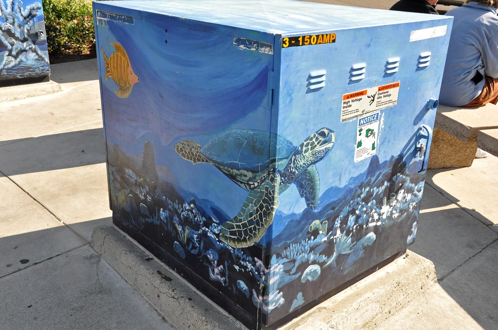 painted electrical box on Coronado Island Jennifer Boyer Flickr