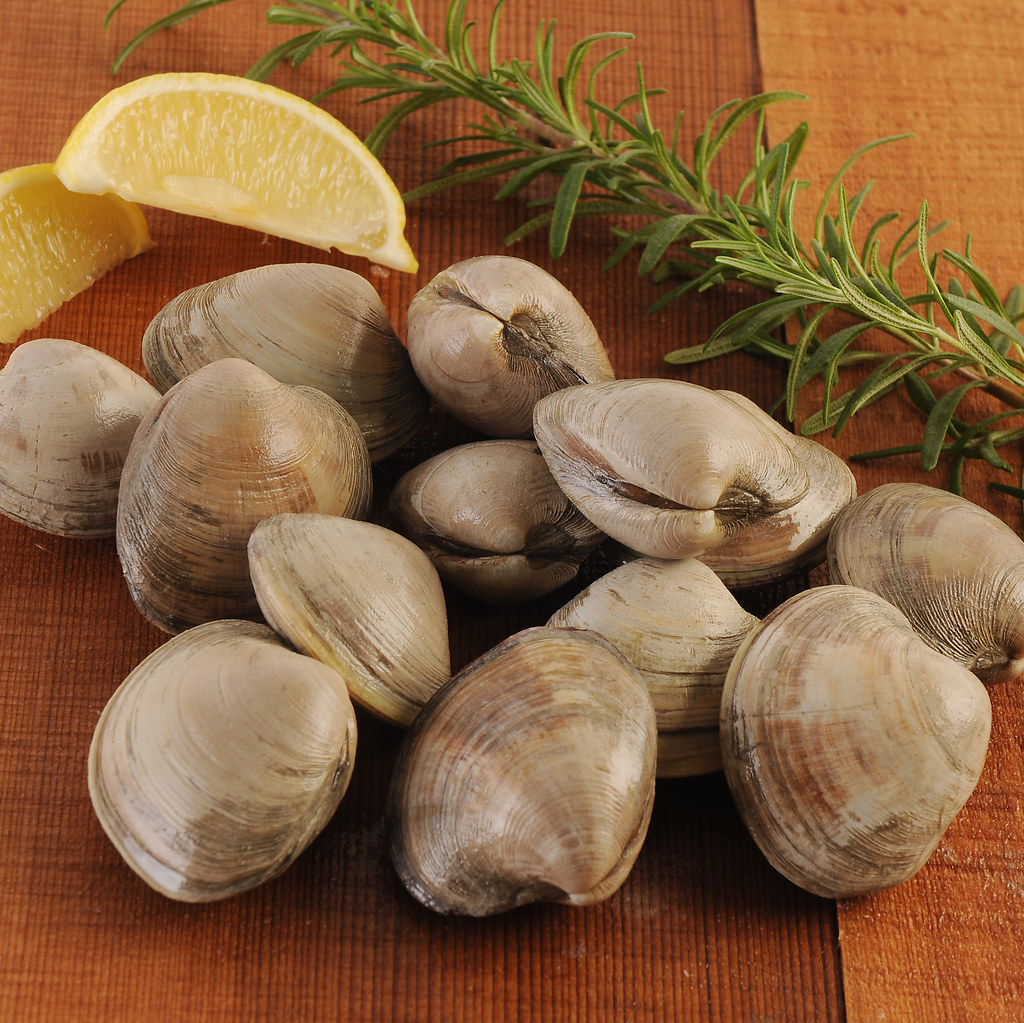 Littleneck Clams (One Dozen) Hagen's Littleneck Clams are … Flickr