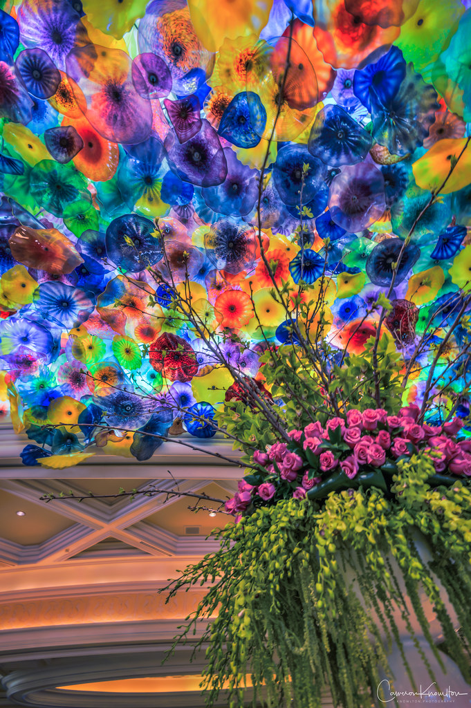 Bellagio Dale Chihuly Glass Flowers Sculpture Cameron Knowlton Flickr