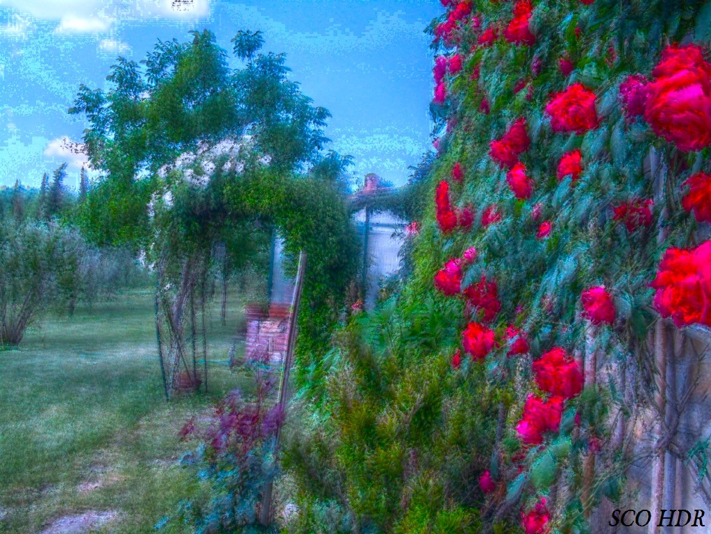 Alice in Wonderland The Queen's rose garden ScoHDR87 Flickr