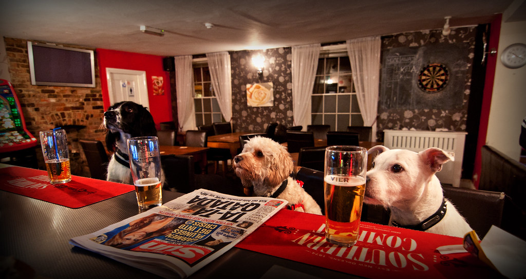 Dogs At The Bar (Explore) This has been an idea of mine fo… Flickr
