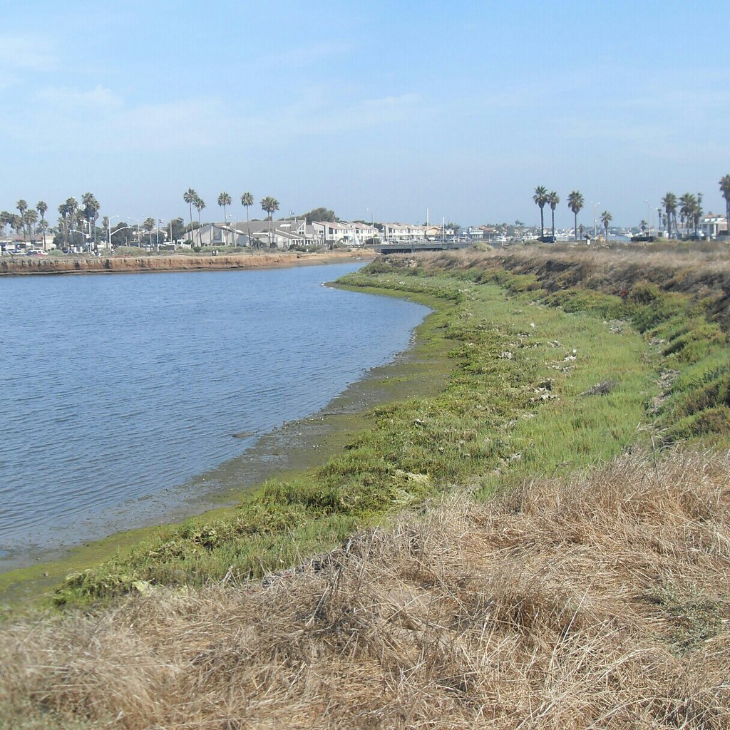 Weather In Bolsa Chica California at Diane Mccann blog