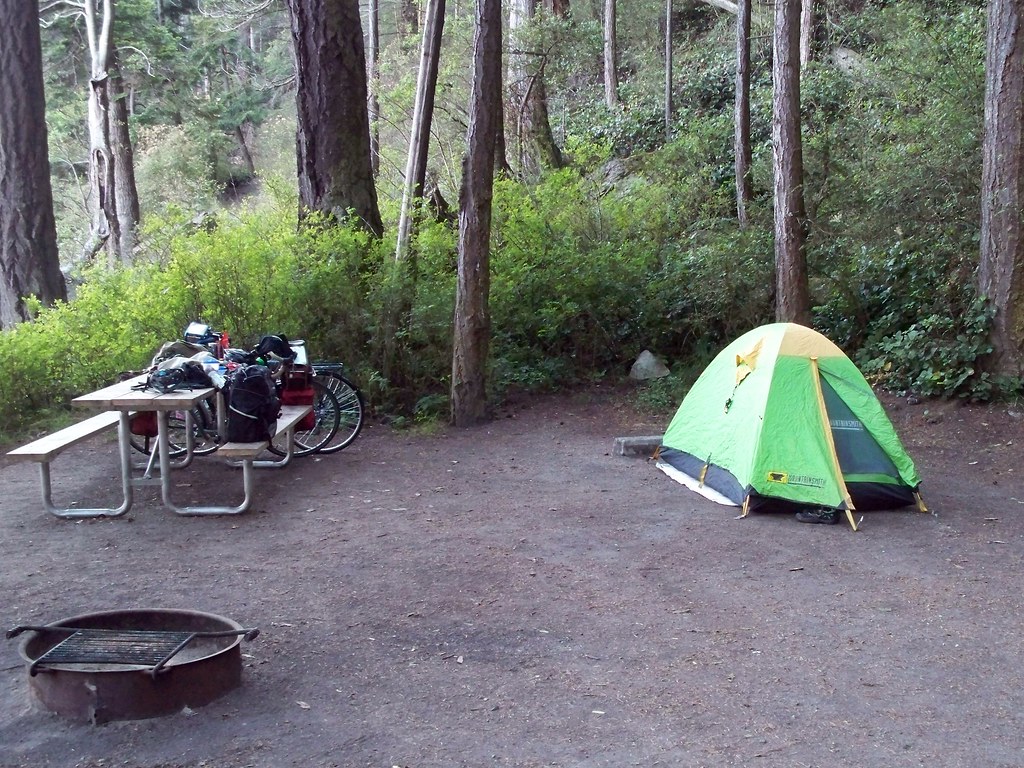 Campsite, Bowman Bay, Deception Pass State Park Day 1 We … Flickr