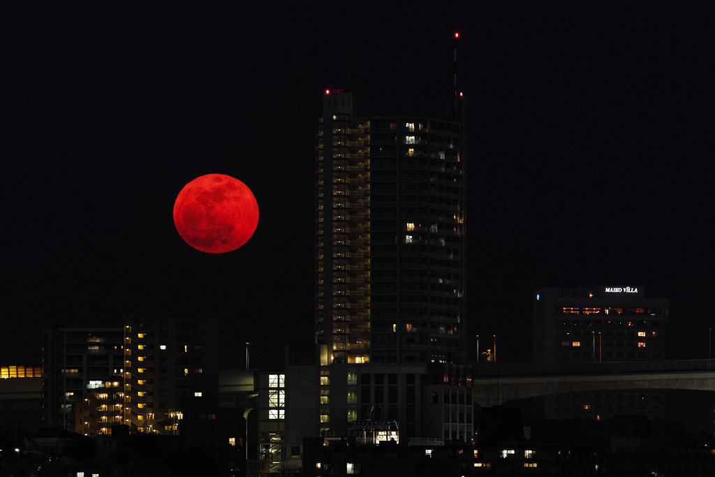 Super Red Moon The supermoon rising above the bridge. SD1 … Flickr