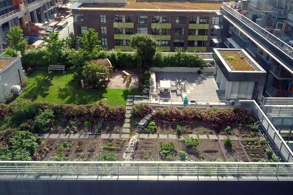Rooftop Community Garden Christopher Porter Flickr