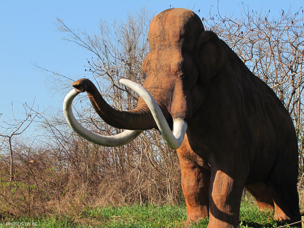 WOOLLY MAMMOTH Dinosaur World in Cave City Kentucky. More … Flickr