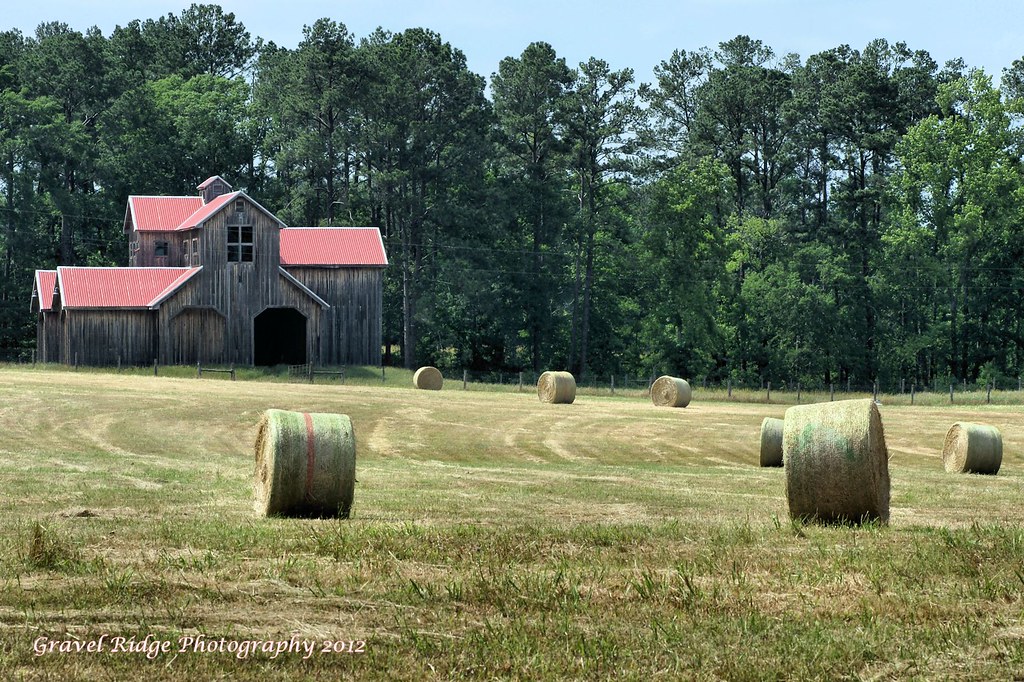East Texas Farmtograph Rural East Texas...... © Gravel Rid… Flickr