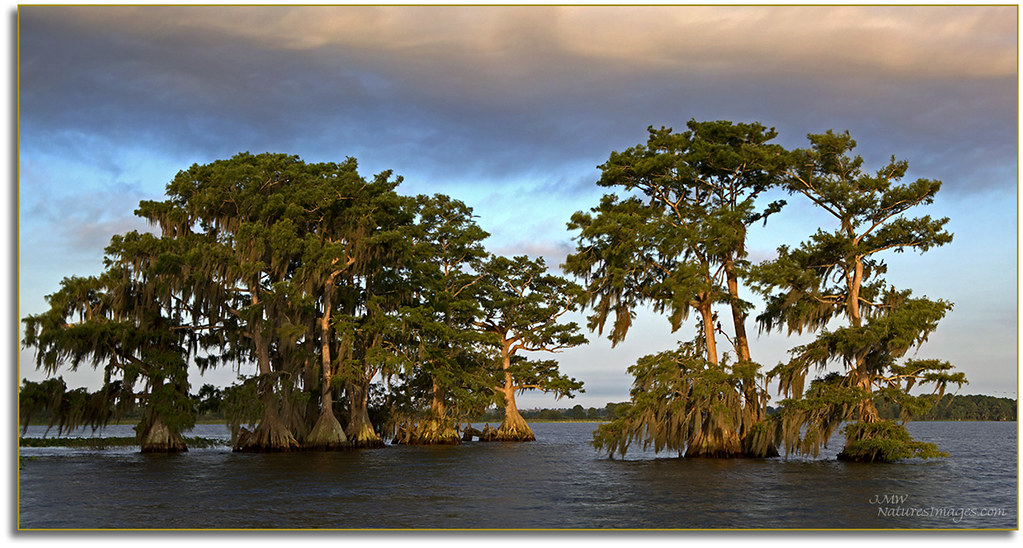 Lake Istokpoga, Lake Placid.FL. Lake Istokpoga is a 28,000… Flickr