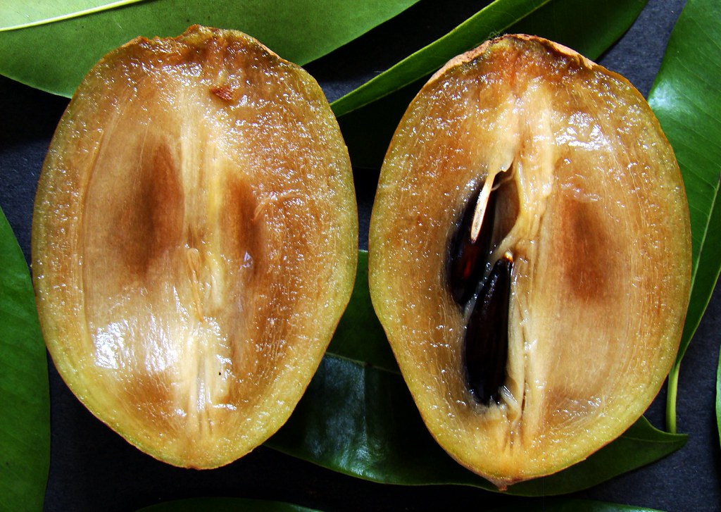 Sapodilla 9 ALANO 2 / (Bengali = শবেদা) A ripe 'Alano' … Flickr