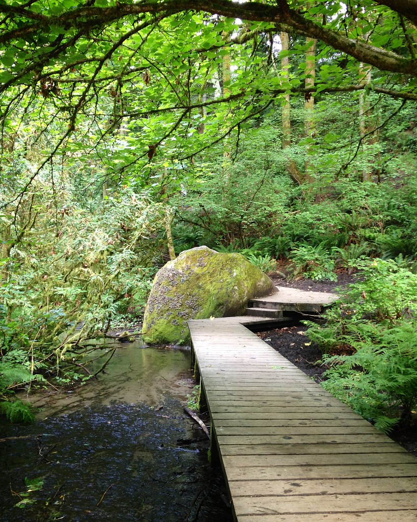 Ravenna Park Photo Decathlon Week 1 Landscape. Seattle, W… Frank
