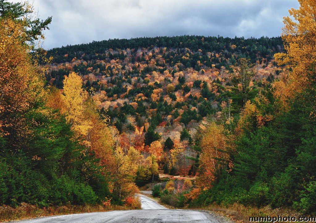 Scenes from the Golden Road (Millinocket, Maine, shot with… Flickr