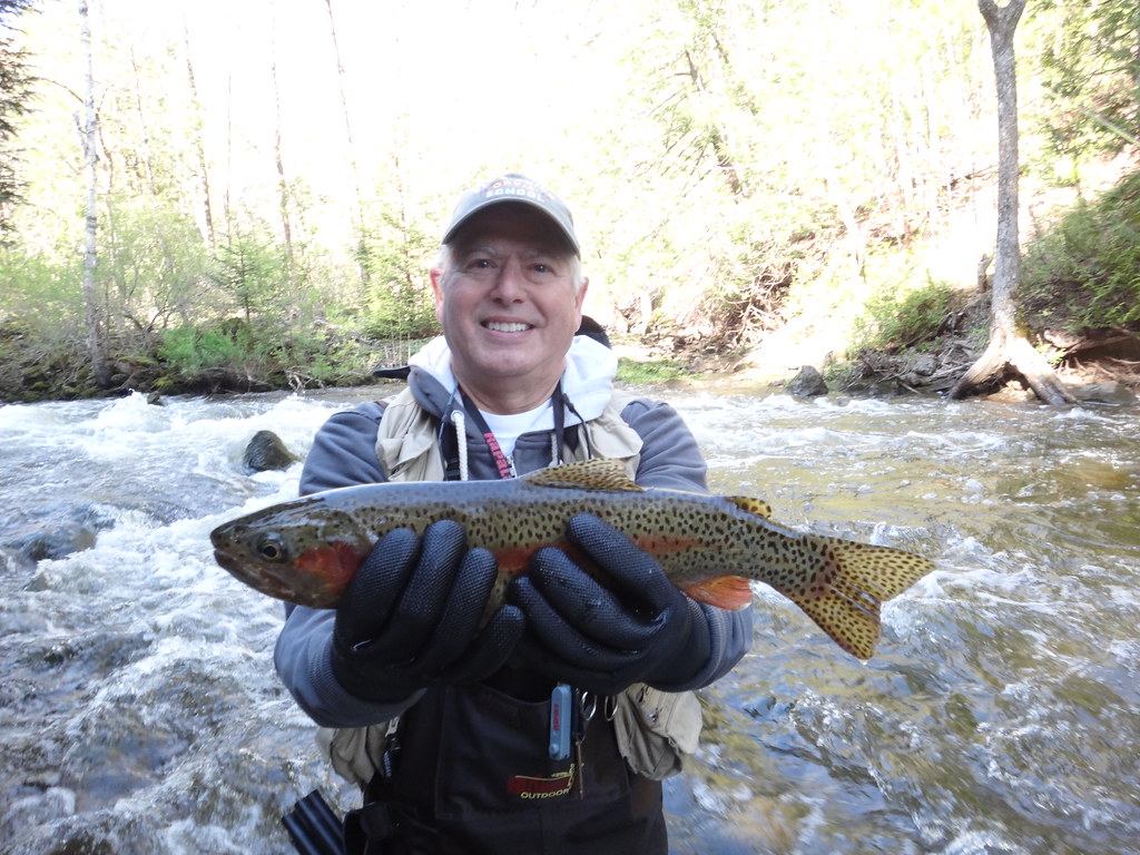Ontario Rainbow Trout