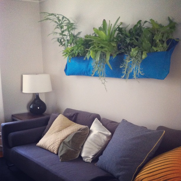 Living Wall davitydave Flickr