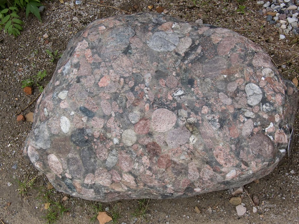 Konglomerat Der Gesteinsgarten NeuPudagla (Usedom