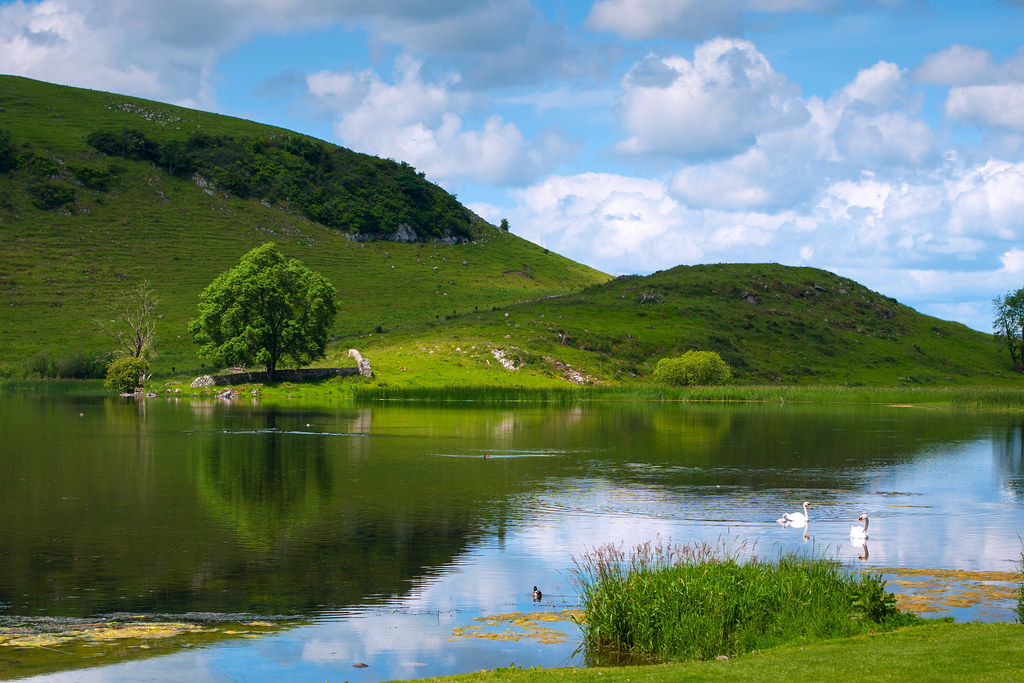 Lough Gur Lough Gur (Irish Loch Gair) is a lake in County… Flickr