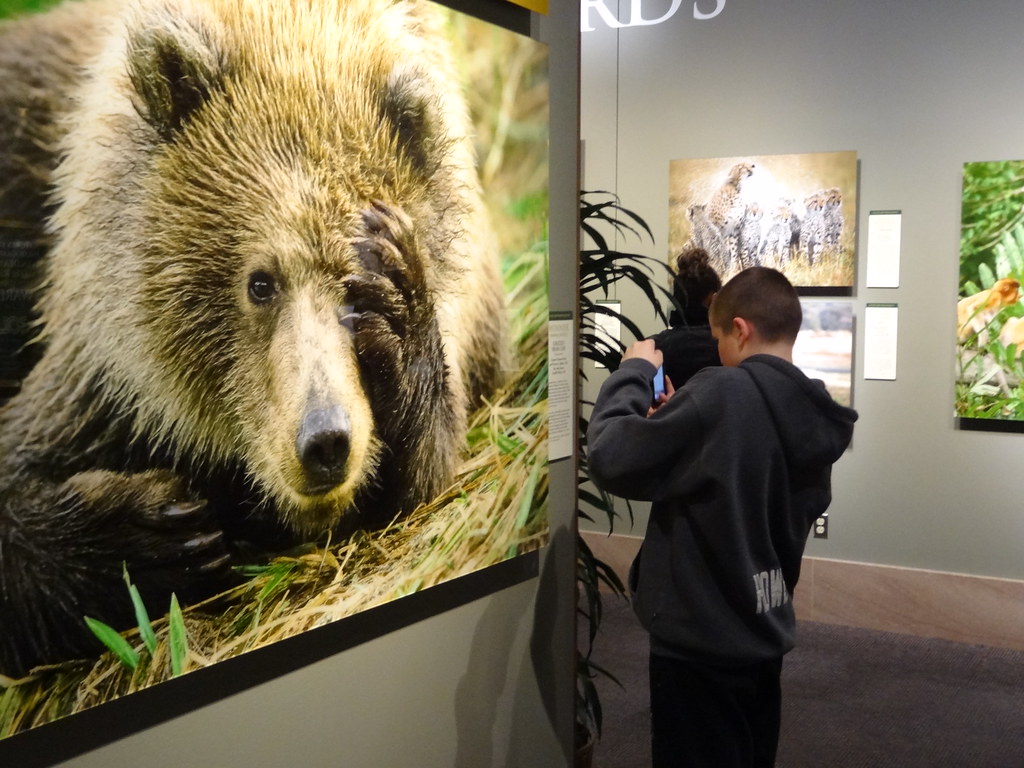 Nature's Best Photography Windland Smith Rice Internation… Flickr