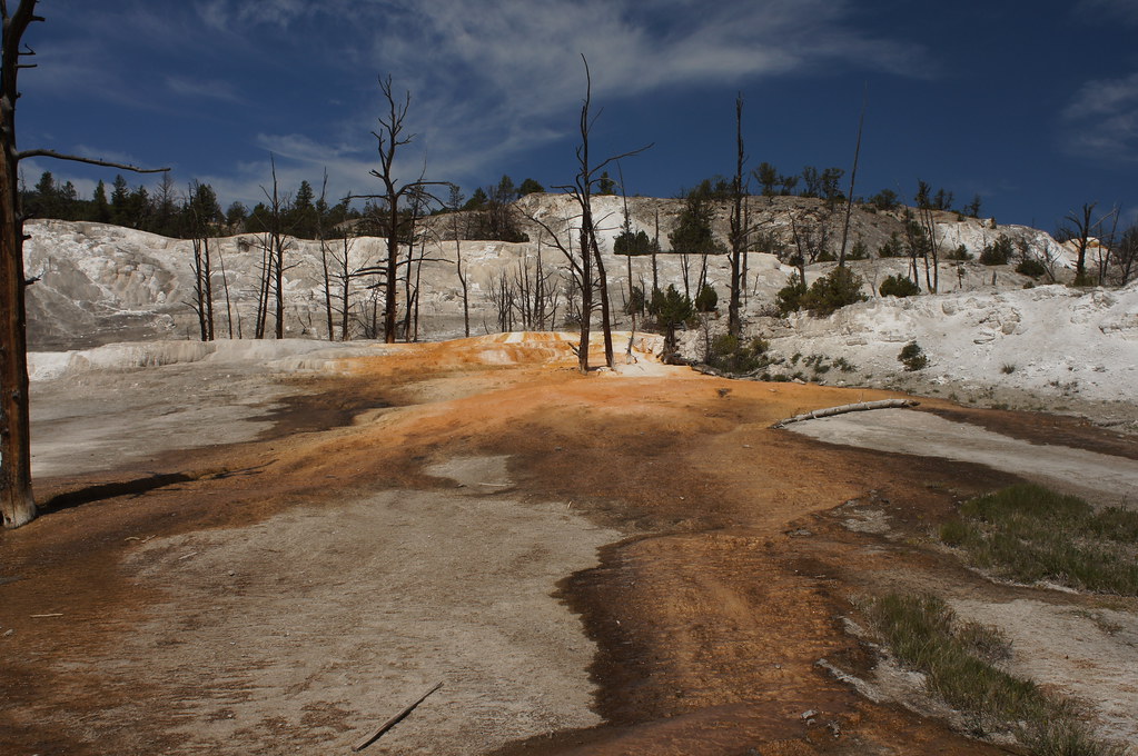 Angel Terrace Angel Terrace, Mammoth Hot Springs, Yellowst… Flickr