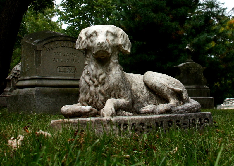 Images of Mount Auburn Cemetery, September 14, 2013 Flickr