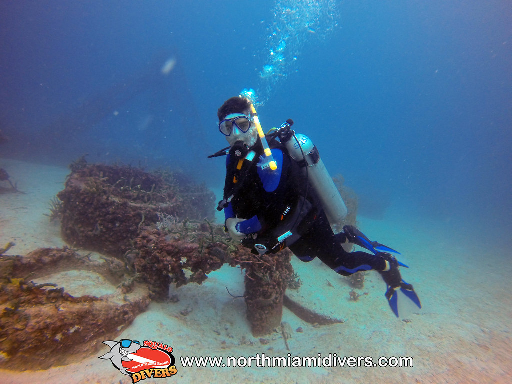 Scuba DivingMiami Beach, FLOct 201347 Squalo Divers Flickr
