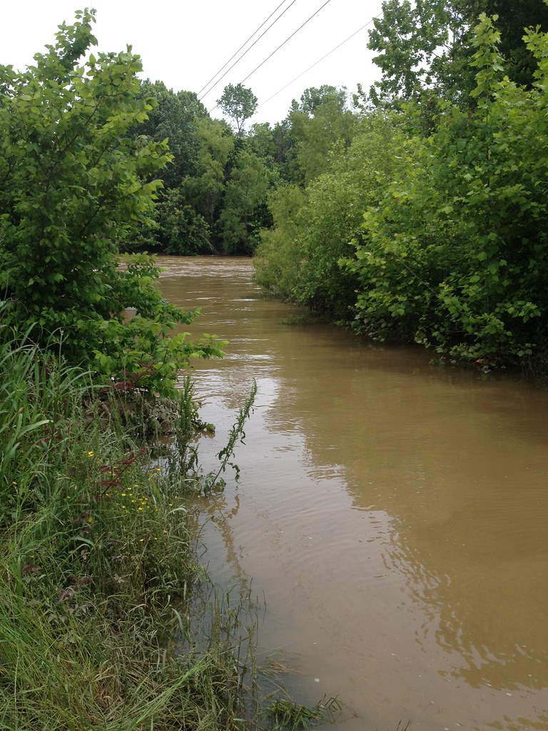Big Black River MS DM Flickr