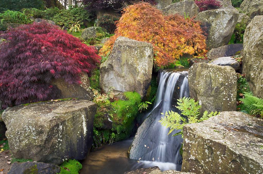Water in English Gardens (4 of 33) RHS Gardens Wisley, S… Flickr