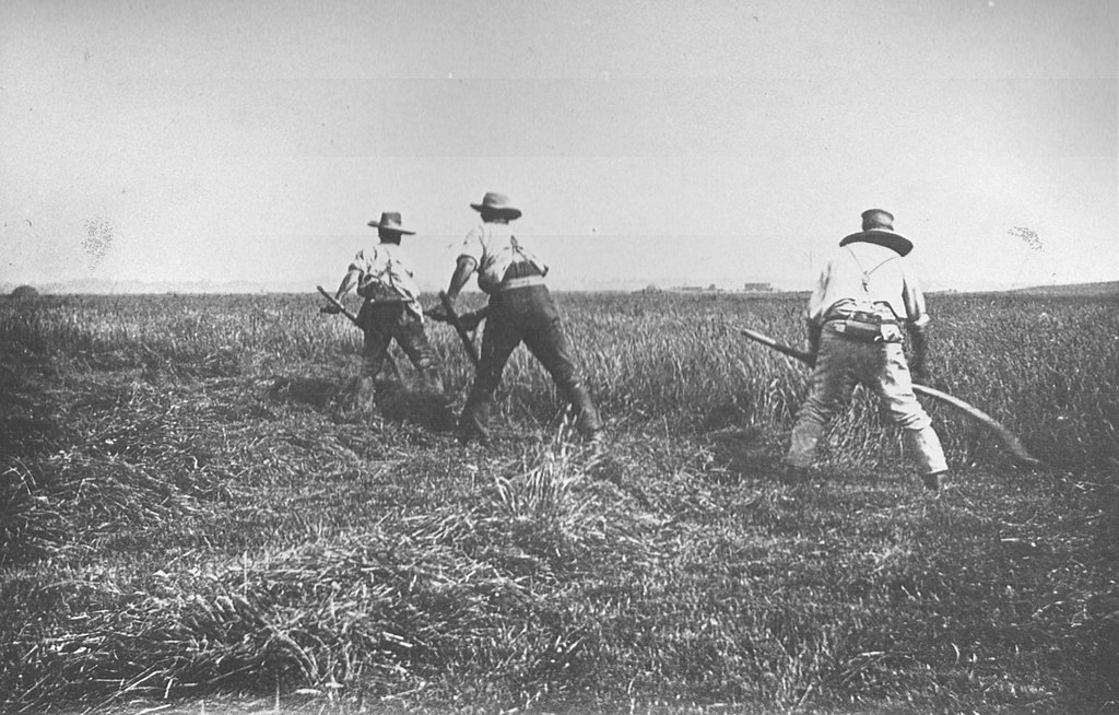 E01239 Agricultural Labourers c.1880 by J.Coster Three agr… Flickr
