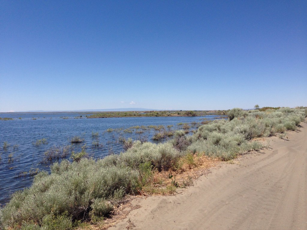 Sand Dunes Moses Lake , wa myrna.purcell Flickr