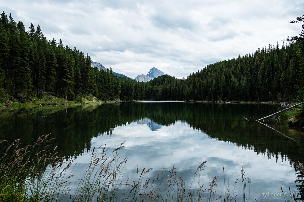 Moose Lake, Jasper National Park, Alberta Canada Moose Lak… Flickr