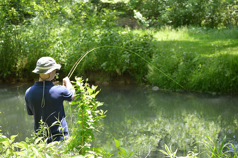 Beaver Creek Trout Unlimited Outing 01 June Project Heal… Flickr