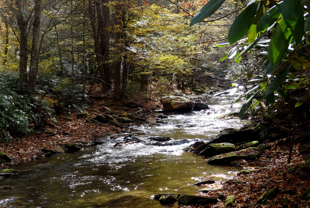 Buck Creek, tributary of Catawba river, back of Sunnyvale … Flickr