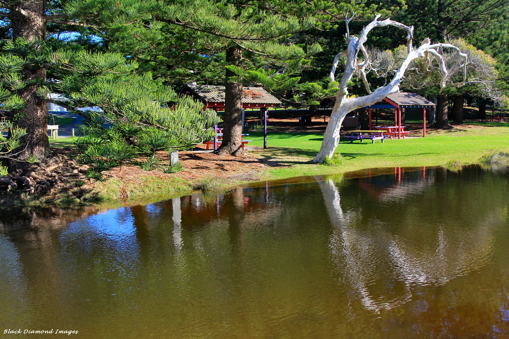 Black Head Creek, Black Head Beach, Hallidays Point, NSW Flickr