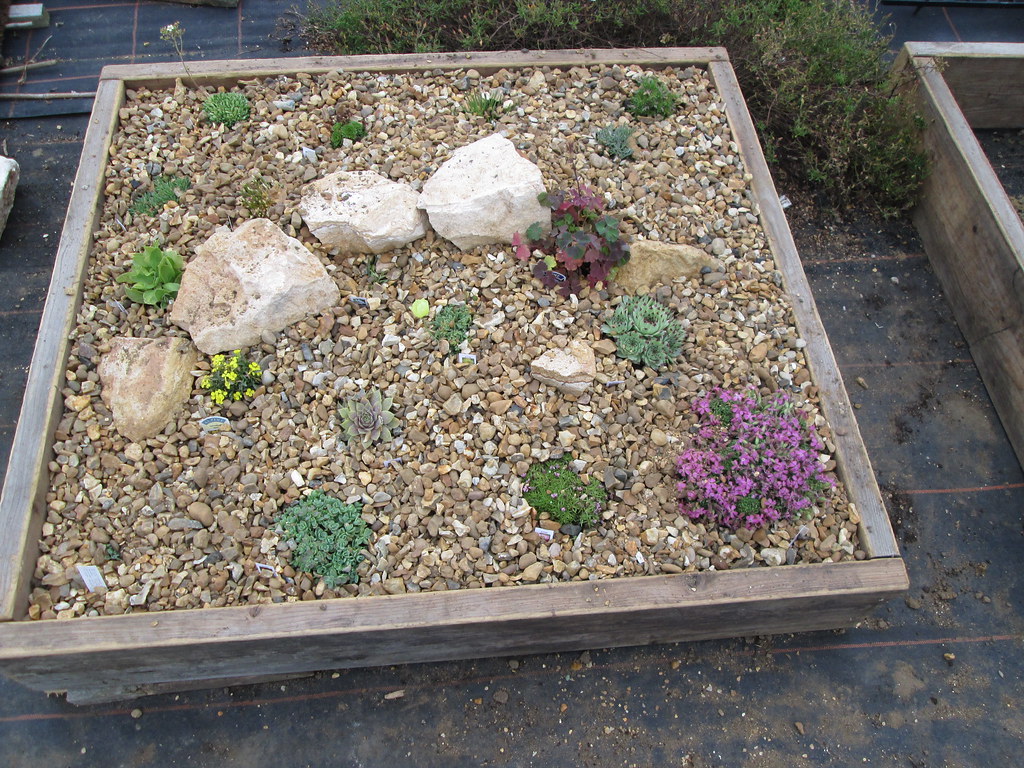 Gravel on alpine raised bed 3 Planted up and graveled. I'm… Flickr