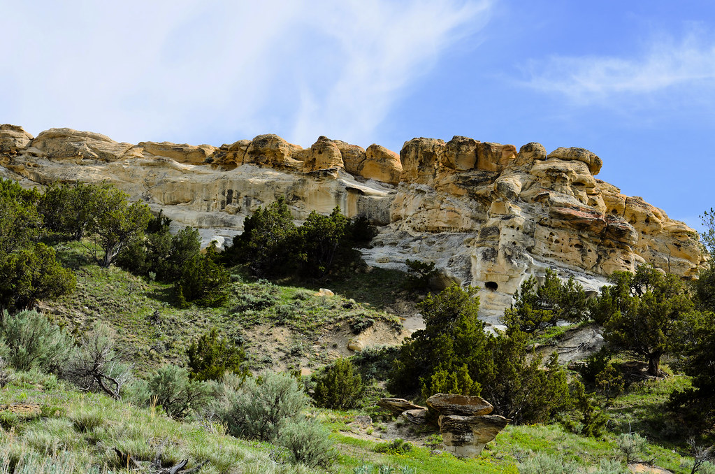 Castle Gardens Castle Gardens Petroglyph Site, Wyoming Matthew