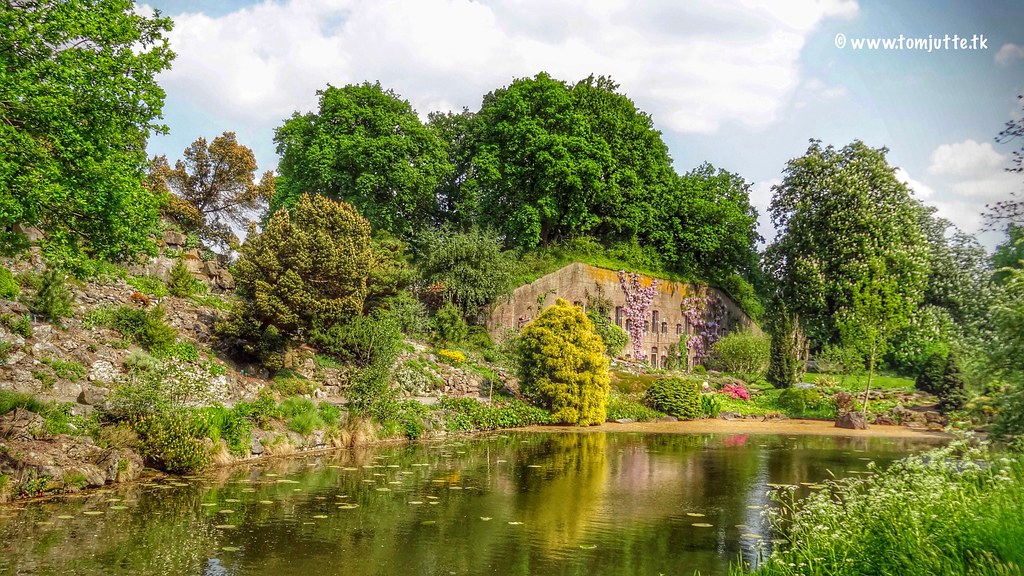 Utrecht University Botanic Gardens, Netherlands 4298 Flickr