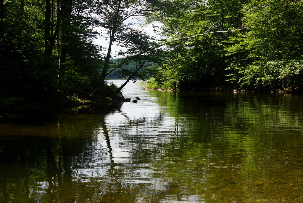 Goose Pond Hike, Lee MA A hike to Goose Pond while visitin… Flickr
