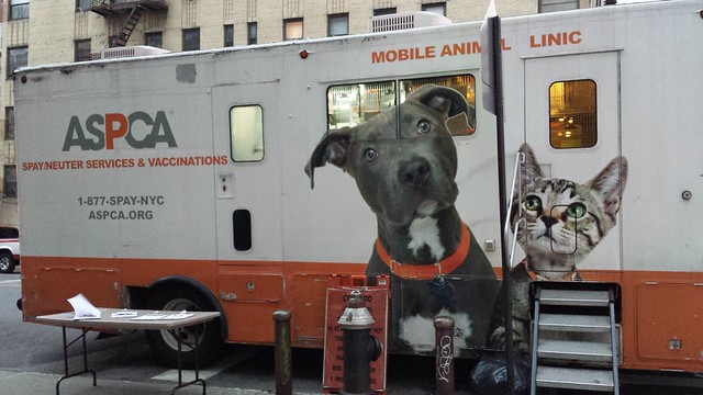 Irony dog on ASPCA mobile truck next to fire hydrant Flickr Photo