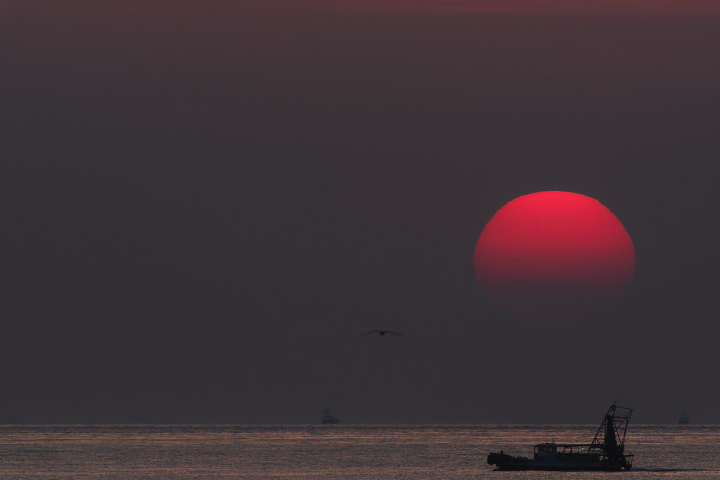 Faded The sun fading out above the horizon. SD1 with 1203… Flickr