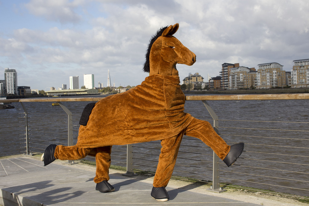 The London Pantomime Horse Race Horse Training Day in
