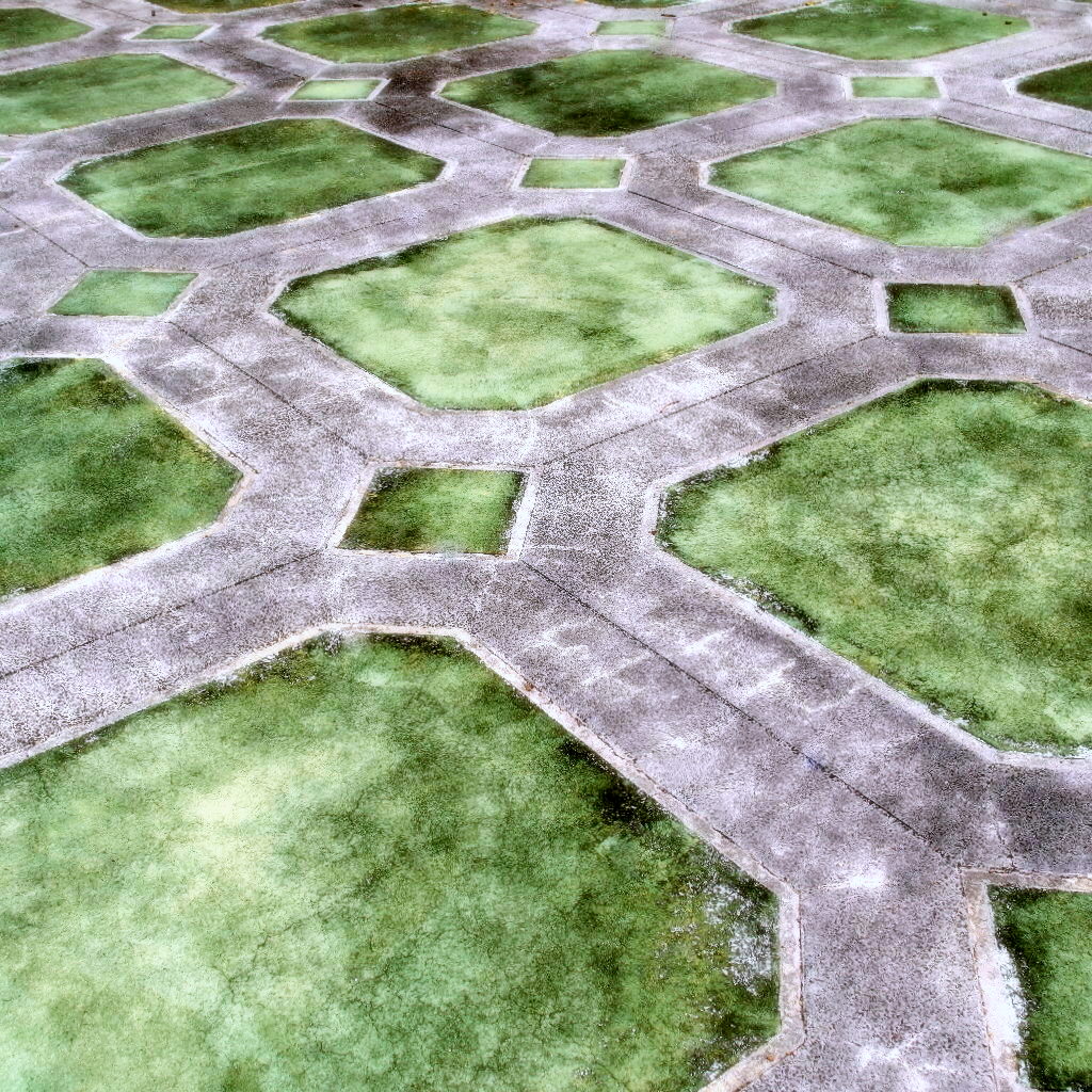 hawaiian volcanic ash and limestone paving stones Hawaiian… Flickr