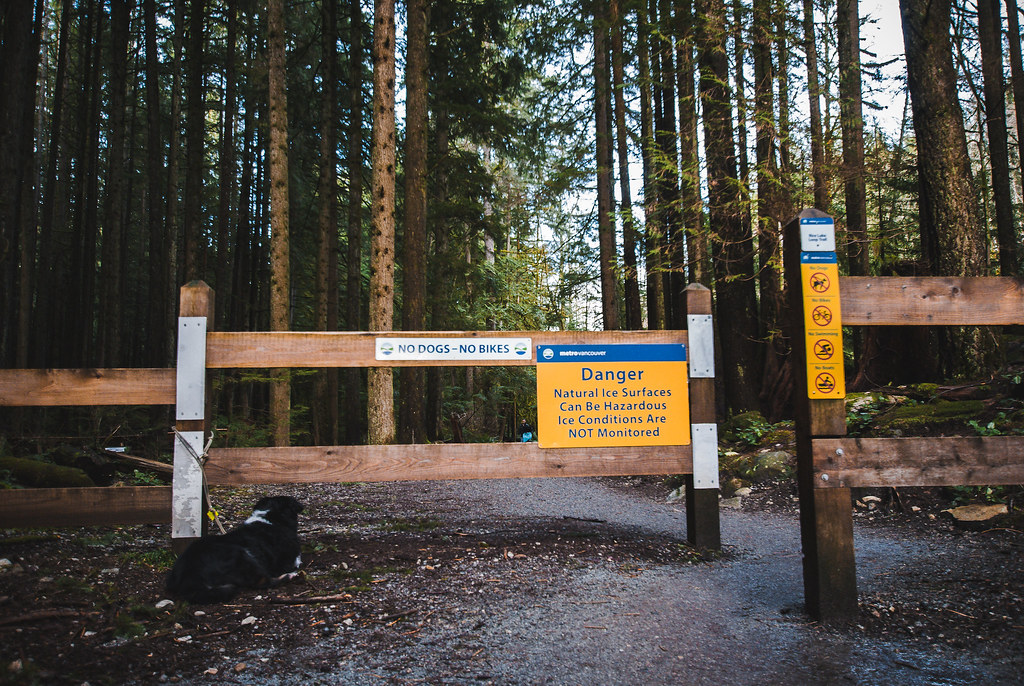 Rice Lake Hike And Fishing North Vancouver Wander Vancouver