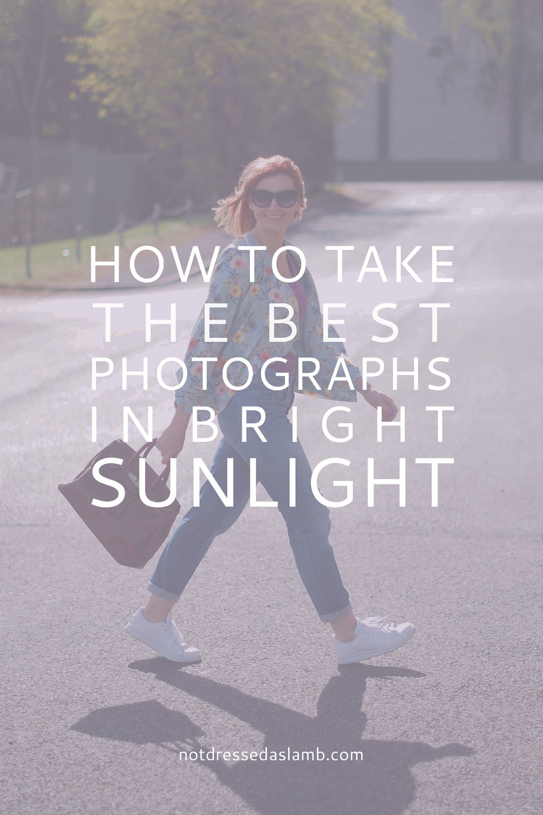 Photo Tips How to Take the Best Photographs in Bright Sunlight