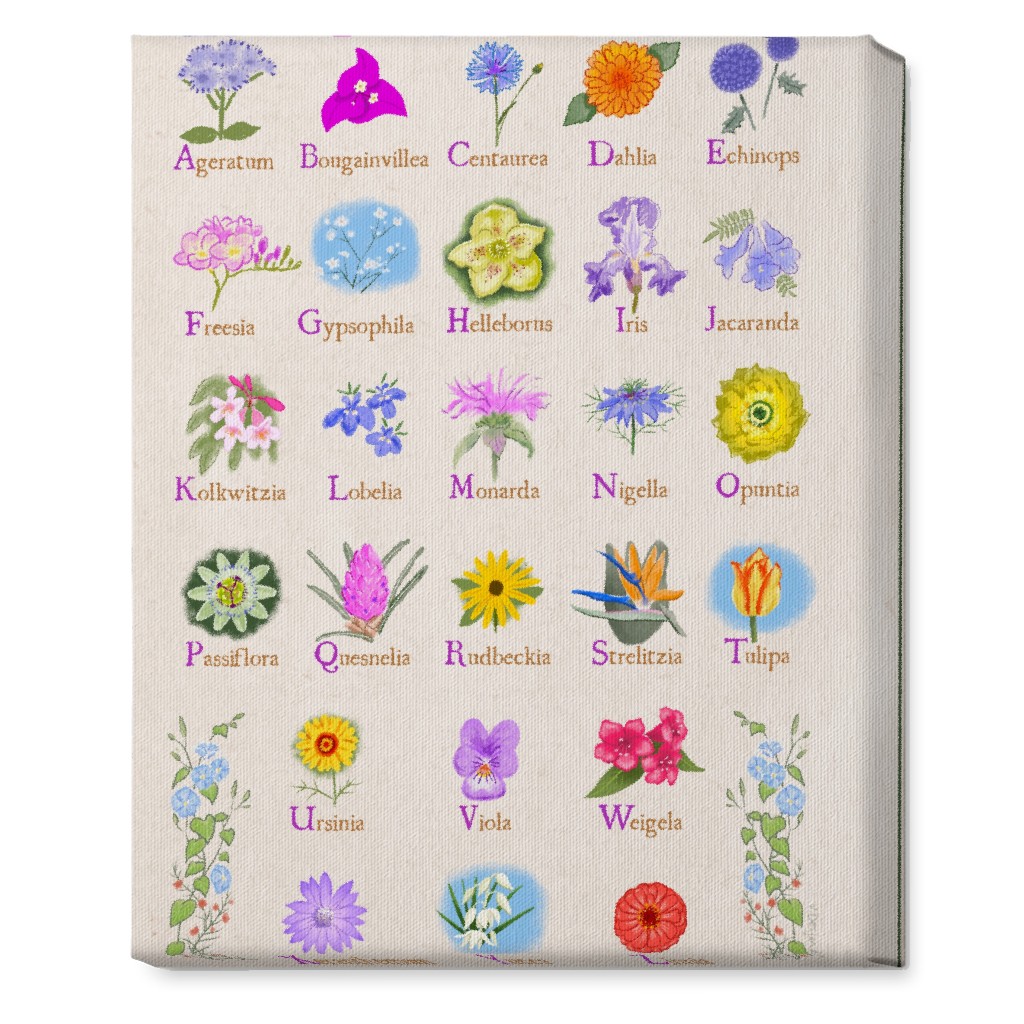 Floral Abcs Multi on Pink Wall Art Shutterfly