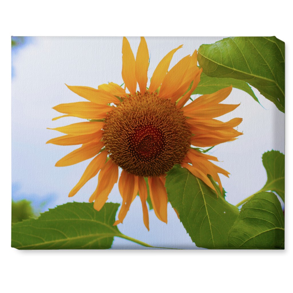 Sunny Sunflower Yellow Wall Art Shutterfly